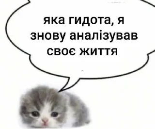 😞 emoji Життє контін'ю by @soycheeka Telegram sticker 22 of 119