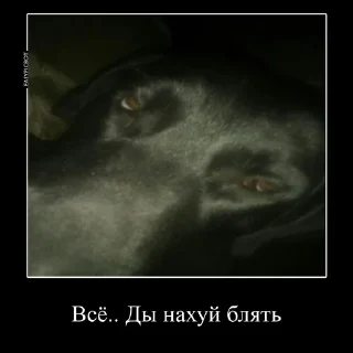 🌟 emoji Сын шлюхи Telegram sticker 14 of 24