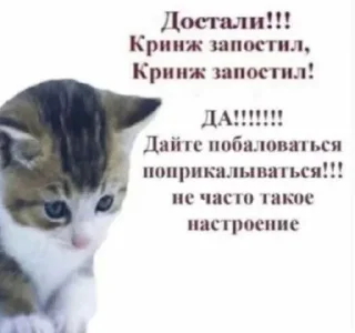 💀 emoji Я пидорас Telegram sticker 23 of 57