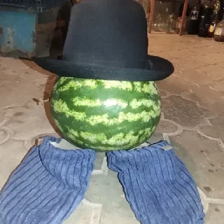 🍉 emoji Стикер пак только для крутих 1# Telegram sticker 9 of 120
