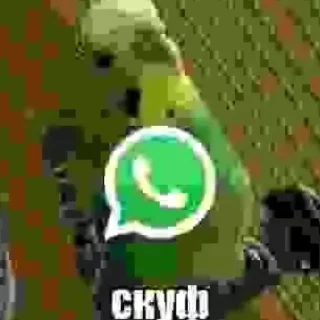 🦜 emoji Стикер пак только для крутих 1# Telegram sticker 22 of 120