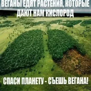 🌲 emoji Стикер пак только для крутих 1# Telegram sticker 13 of 120