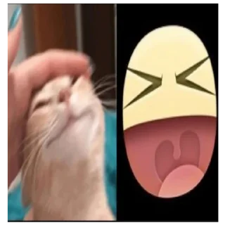 😫 emoji cute animals 💗 Telegram sticker 11 of 59