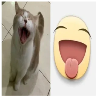 😛 emoji cute animals 💗 Telegram sticker 4 of 59