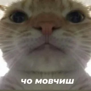 🤔 emoji Ебейшие стикеры от @nixyXs Telegram sticker 16 of 45