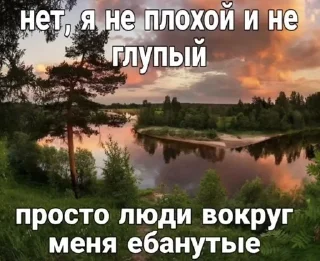 Sticker from 🌹Депрессивные мемы/суицидальны