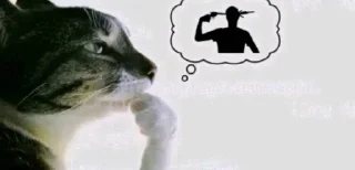 🌟 emoji Мемасики Telegram sticker 16 of 54