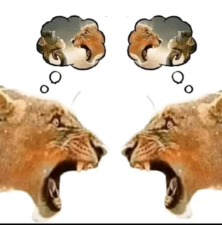 🐯 emoji Картинки из тиктока Telegram sticker 19 of 51