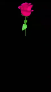 🌹 emoji 💔❤️‍🩹 Telegram sticker 2 of 50