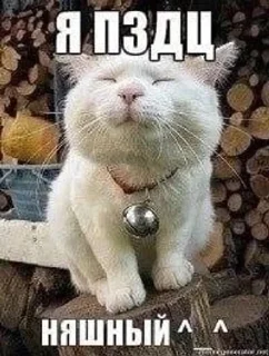 😝 emoji вк3 Telegram sticker 19 of 107