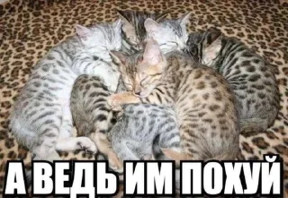 😝 emoji вк3 Telegram sticker 18 of 107