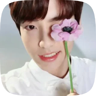 🌟 emoji BTS raya's love Telegram sticker 13 of 45