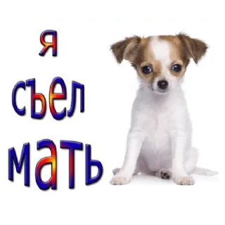 😏 emoji для даунов Telegram sticker 17 of 119