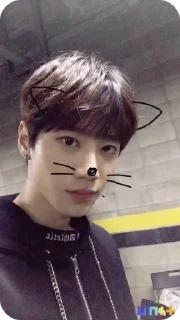 🌟 emoji 🍀Lee Jun Young🍀 Telegram sticker 16 of 39