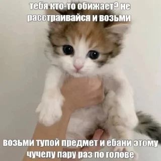 Sticker from Китики