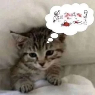 🌟 emoji Мяу мяу Telegram sticker 6 of 33