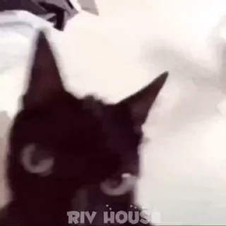 🤯 emoji riv_house_Gif Telegram sticker 1 of 58