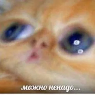 ❔ emoji Хз чо Telegram sticker 19 of 25