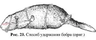 Sticker from bubr kurwa