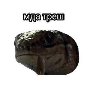 😐 emoji Миу Мау Telegram sticker 19 of 60