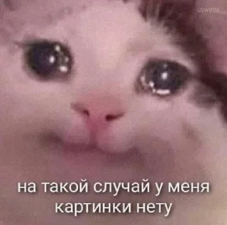 Sticker from мемная папка влада