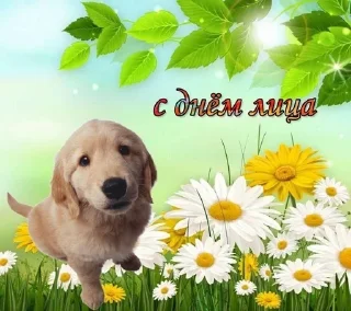 🌟 emoji Какой сегодня праздник Telegram sticker 8 of 120