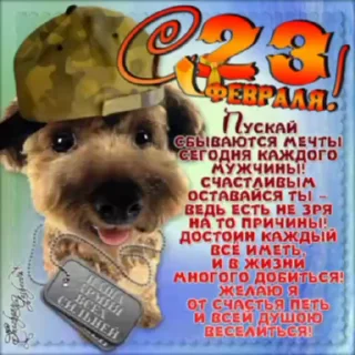 ☺️ emoji День Защитника Отечества Telegram sticker 5 of 20
