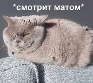 😡 emoji Bipolyarka Telegram sticker 12 of 60