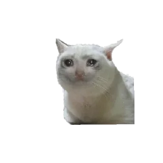 Sticker from Эра даунов