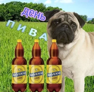 🍾 emoji жізо праздникє @smazmik Telegram sticker 15 of 120