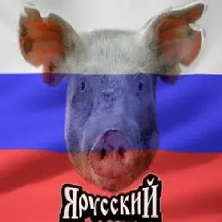 🤩 emoji САНІТАРСЬКИЙ ДВІЖ Telegram sticker 15 of 67