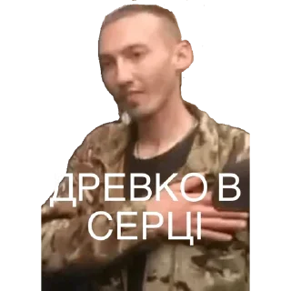 🤩 emoji САНІТАРСЬКИЙ ДВІЖ Telegram sticker 8 of 67