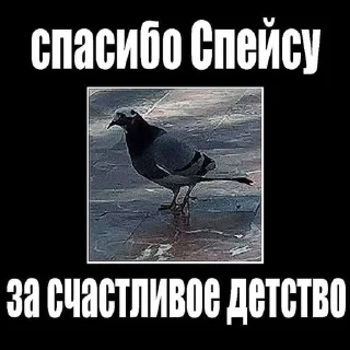 🌟 emoji СПАСИБО СПЕЙСУ Telegram sticker 3 of 22