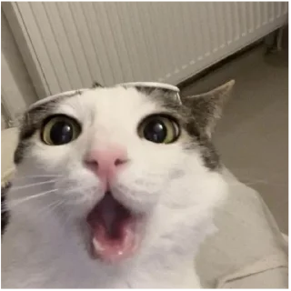 😳 emoji инсульт Telegram sticker 21 of 109