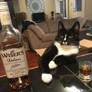 🥃 emoji Тварини Telegram sticker 10 of 116