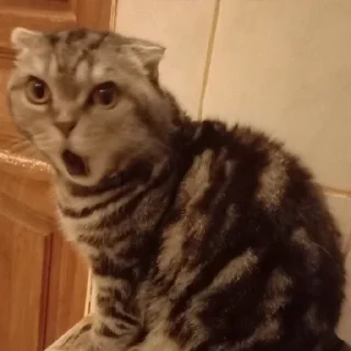 😮 emoji Тварини Telegram sticker 6 of 116