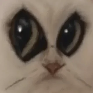 😳 emoji Пак Грига Telegram sticker 12 of 62