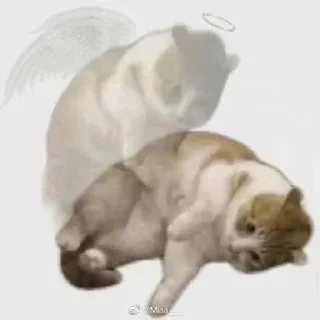 😵 emoji життє Telegram sticker 12 of 75