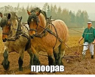 😂 emoji життє Telegram sticker 16 of 75