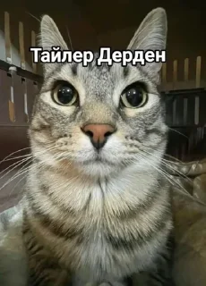 🥳 emoji Бибика @StickersPackRobot Telegram sticker 2 of 10