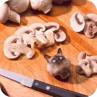 🫥 emoji котики Telegram sticker 15 of 18