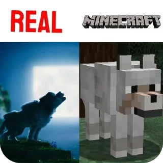 🐶 emoji Minecraft Real Life ➩ @Earth928B Telegram sticker 17 of 20