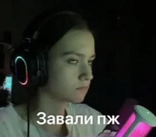 🌟 emoji Саша-Saшлык. twitch.tv/ssellv1 Telegram sticker 22 of 42
