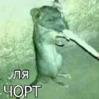 🚬 emoji галерея Telegram sticker 13 of 100