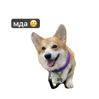🫥 emoji яяя😘 Telegram sticker 12 of 12