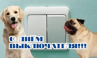 🫨 emoji жізо праздникє @smazmik Telegram sticker 7 of 120