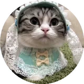 💃 emoji Больше стикеров тут: @allstickers_tg Telegram sticker 2 of 50