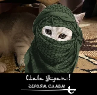 💀 emoji Тварини-терористи Telegram sticker 1 of 36