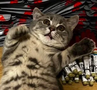 ⛑ emoji Тварини-терористи Telegram sticker 17 of 36