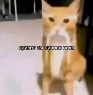 😼 emoji подруги какашечки Telegram sticker 8 of 24